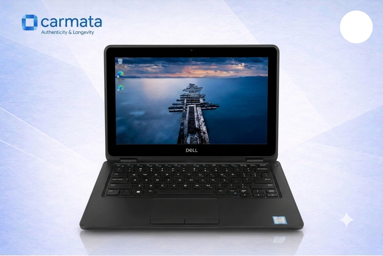 dell 3190